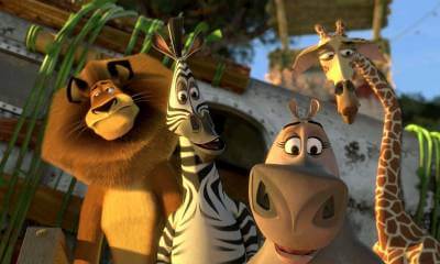 Кадр из фильма «Мадагаскар 2»