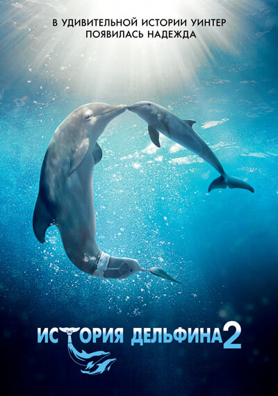История дельфина 2