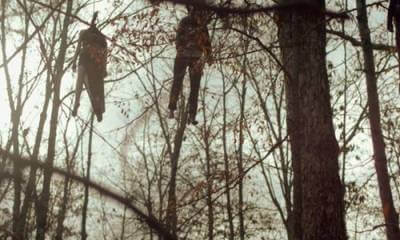 Кадр из фильма «Домик на дереве»