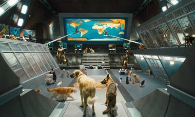 Кадр из фильма «Кошки против собак: Месть Китти...»