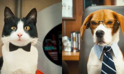 Кадр из фильма «Кошки против собак: Месть Китти...»