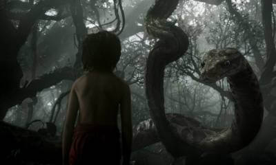 Кадр из фильма «Книга джунглей»