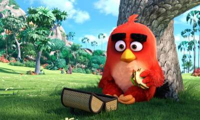 Кадр из фильма «Angry Birds в кино»