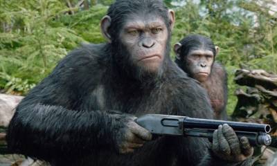 Кадр из фильма «Планета обезьян: Революция»