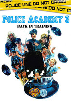 Полицейская академия 3